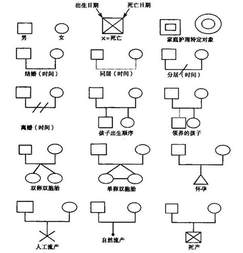 家庭樹意義|福耕居家護理所: 家系圖